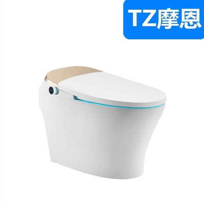 多功能無(wú)水箱智能馬桶全自動(dòng)電動(dòng)翻蓋遙控一體式家用坐便器批發(fā)