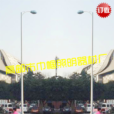 道路照明燈 9米單雙臂路燈 高壓鈉燈150 250 400W 工廠 道路燈