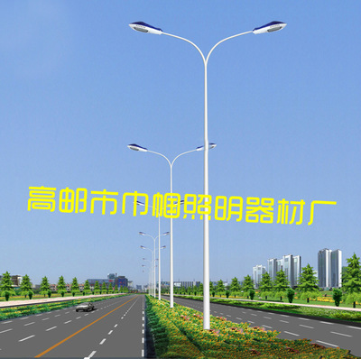 工廠直批 雙臂照明燈桿 11.5米挑臂中桿廣場高桿路燈桿 質(zhì)優(yōu)價廉