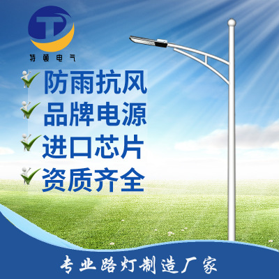 LED路燈道路照明燈戶外燈進口芯片5米6米7米8米10米美麗鄉(xiāng)村