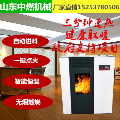廠家直銷生物質(zhì)顆粒采暖爐 顆粒真火壁爐 熱風取暖器家用取暖爐