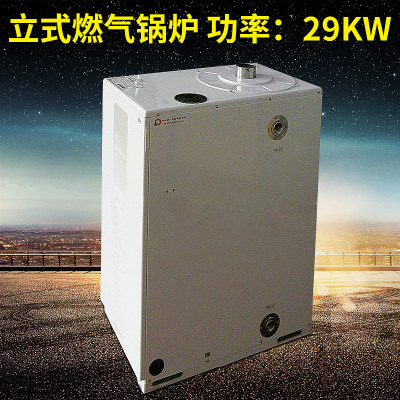 不銹鋼燃?xì)馊加吐涞劐仩t 立式小型燃?xì)忮仩t 燃?xì)馊加蜕铄仩t批發(fā)