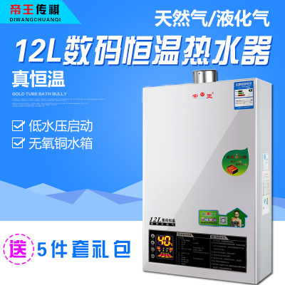帝王傳祺/DW842 數(shù)碼強(qiáng)排恒溫式天然氣液化氣煤氣燃?xì)鉄崴髋l(fā)