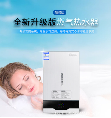 廠家批發(fā)燃?xì)鉄崴?2L 天然氣強排恒溫家用智能即熱式熱水器