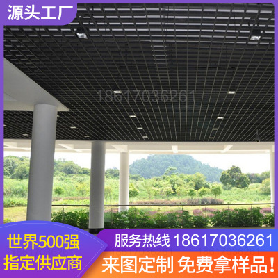吊頂格柵吊頂裝飾材料格子簡易網(wǎng)格鐵鋁格柵塑料天花板葡萄架吊頂