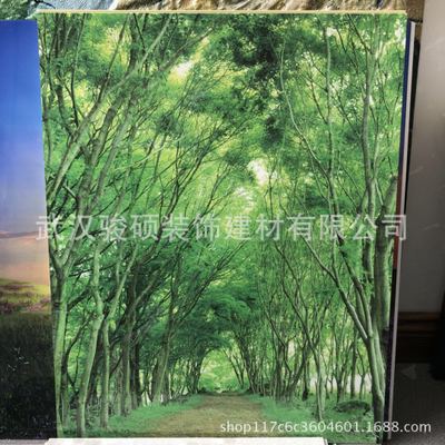 竹木纖維3D打印背景墻裝飾/壁畫 圖案尺寸可定制
