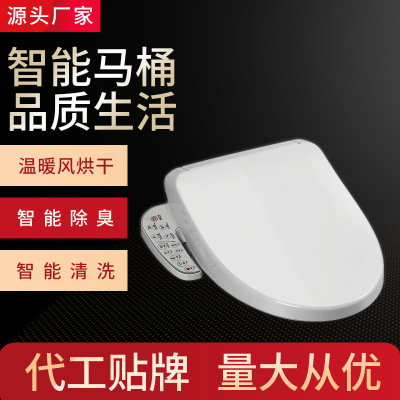 廠家直銷電動智能馬桶蓋跨境電商智能坐便蓋板移動沖洗馬桶蓋OEM