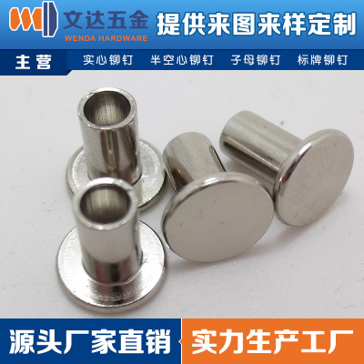 廠家直銷鍍鋅鐵鉚釘 碳鋼鉚釘 蘭白鋅中空釘 中空鐵鉚釘 環(huán)保鉚釘