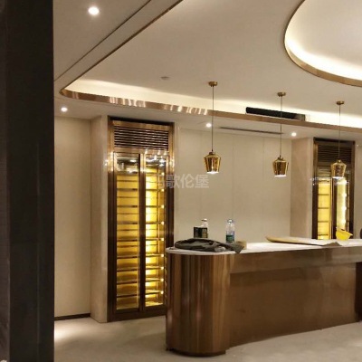 歐式酒柜 家裝現(xiàn)代簡式酒柜 餐邊兩門柜 可定制不銹鋼恒溫酒柜