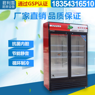 廠家批發(fā)展示柜冷藏保鮮柜立式商用雙門超市飲料蔬菜水果冷藏展示