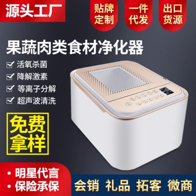 果蔬消毒機(jī)全自動家用解毒洗菜機(jī) 超聲波食材凈化機(jī)禮品清洗器