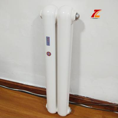 鋼二柱暖氣片 鋼制柱型暖氣片 暖氣片圖片 暖氣片價格 暖氣片生產(chǎn)廠家