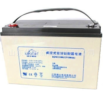 正品理士蓄電池DJM 12v100ah系列閥控式免維護(hù)蓄電池直流屏專用