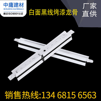廠家直銷平面烤漆龍骨 T型平面烤漆龍骨 高品質(zhì)T型天花吊頂建材