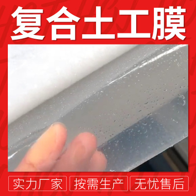 廠家定制復(fù)合土工膜 兩布一膜水利堤壩筑路房屋防滲防護(hù)復(fù)合膜