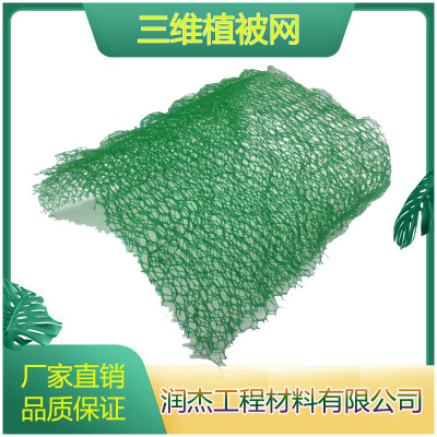 廠家新品三維植被網(wǎng)兩層三層四層國標(biāo)量大價優(yōu)護(hù)坡固土三維土工網(wǎng)
