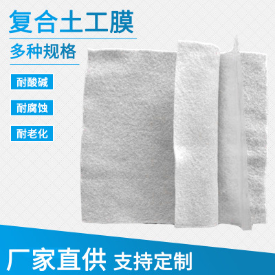 廠家生產(chǎn)一布一膜防水土工布 兩布一膜復(fù)合膜 長絲復(fù)合土工膜