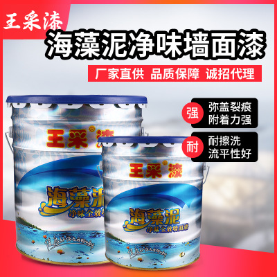 廠家批發(fā)海藻泥凈味墻面漆 內墻彈性涂料 王采內墻漆工業(yè)涂料工業(yè)
