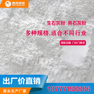 工業(yè)級 石灰粉 生石灰粉 氧化鈣粉 建材涂料石灰 污水處理石灰粉