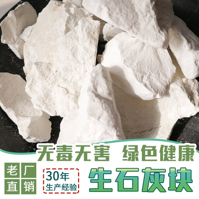廣東廠家直供工業(yè)級(jí)土壤回填氧化鈣含量80生石灰塊狀 現(xiàn)貨